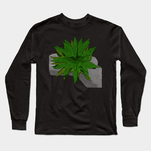 Maguey en la roca Long Sleeve T-Shirt by JÊNMAY